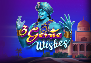 3 Genie Wishes